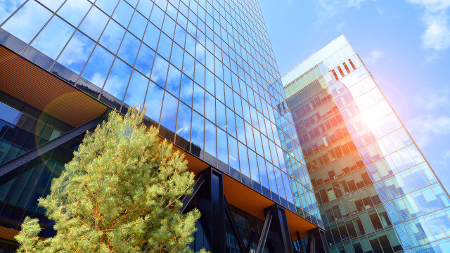 Urban office building with sun reflecting and a tree in the foreground